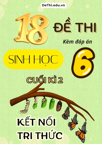 Tuyển tập 18 Đề thi cuối Kì 2 môn Sinh Học 6 sách Kết Nối Tri Thức (Kèm đáp án)